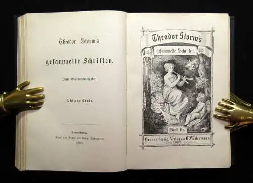 Theodor Storm`s Sämmtliche Schriften 19 Bde. in 10 Büchern 1868- 1889 dekorativ