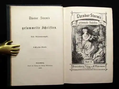 Theodor Storm`s Sämmtliche Schriften 19 Bde. in 10 Büchern 1868- 1889 dekorativ