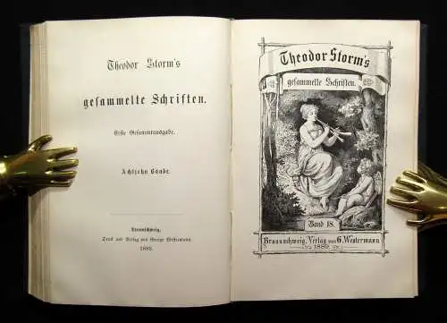 Theodor Storm`s Sämmtliche Schriften 19 Bde. in 10 Büchern 1868- 1889 dekorativ