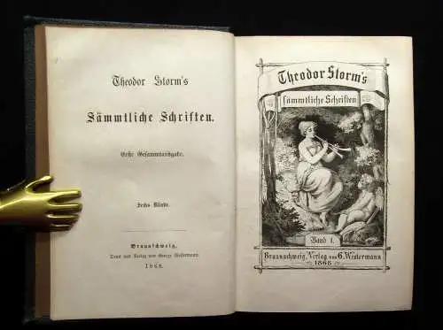 Theodor Storm`s Sämmtliche Schriften 19 Bde. in 10 Büchern 1868- 1889 dekorativ