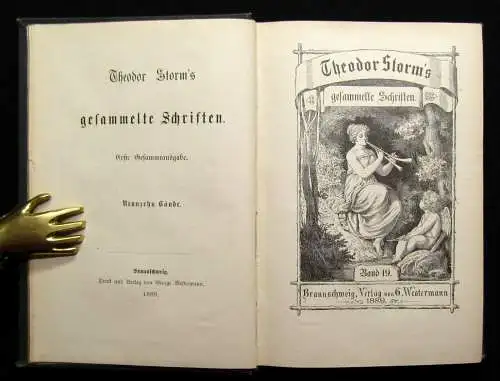 Theodor Storm`s Sämmtliche Schriften 19 Bde. in 10 Büchern 1868- 1889 dekorativ