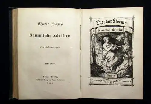 Theodor Storm`s Sämmtliche Schriften 19 Bde. in 10 Büchern 1868- 1889 dekorativ