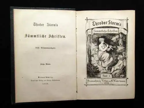 Theodor Storm`s Sämmtliche Schriften 19 Bde. in 10 Büchern 1868- 1889 dekorativ