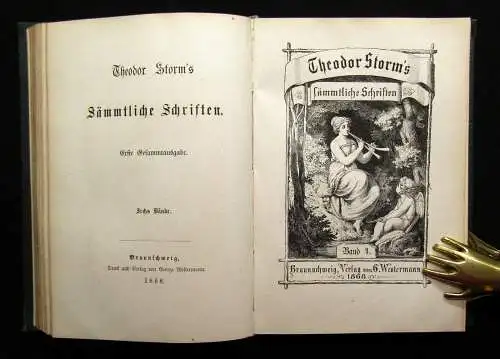 Theodor Storm`s Sämmtliche Schriften 19 Bde. in 10 Büchern 1868- 1889 dekorativ