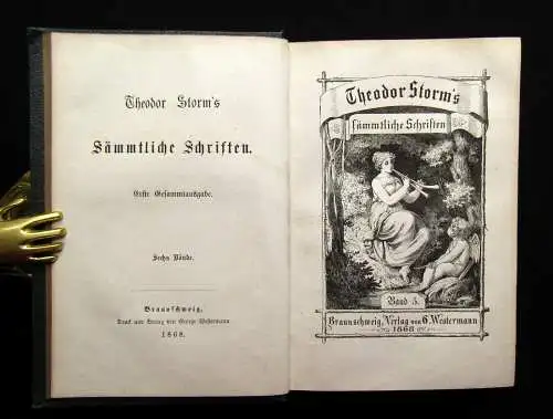 Theodor Storm`s Sämmtliche Schriften 19 Bde. in 10 Büchern 1868- 1889 dekorativ