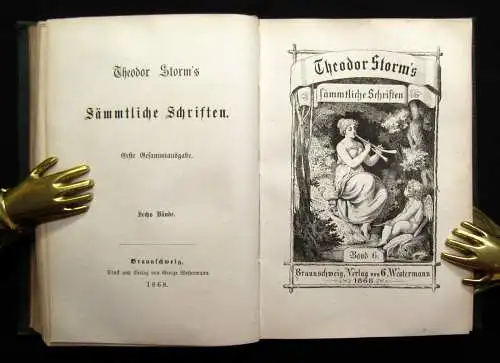 Theodor Storm`s Sämmtliche Schriften 19 Bde. in 10 Büchern 1868- 1889 dekorativ