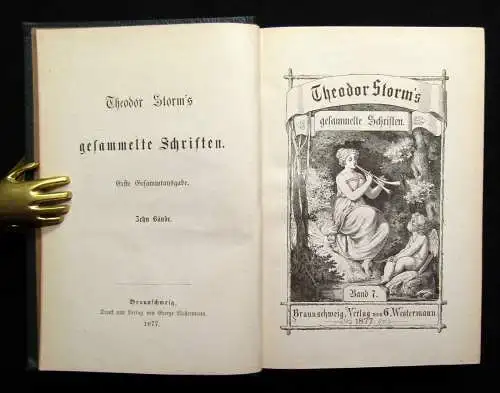 Theodor Storm`s Sämmtliche Schriften 19 Bde. in 10 Büchern 1868- 1889 dekorativ