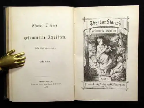 Theodor Storm`s Sämmtliche Schriften 19 Bde. in 10 Büchern 1868- 1889 dekorativ