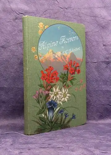 Schröter Alpine Flowers um 1900 3-sprachig englisch deutsch französisch