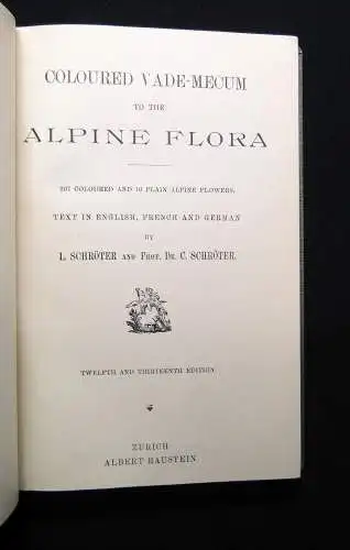 Schröter Alpine Flowers um 1900 3-sprachig englisch deutsch französisch