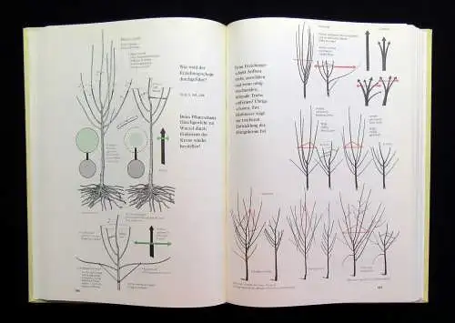 Friedrich,Preuße Obstbau in Wort u. Bild Eine Anleitung für Selbstversorger 1988