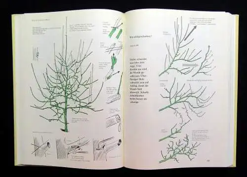 Friedrich,Preuße Obstbau in Wort u. Bild Eine Anleitung für Selbstversorger 1988