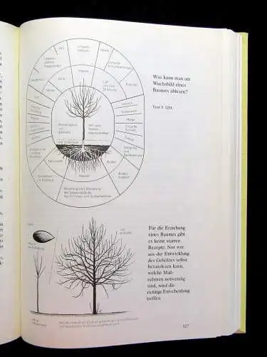 Friedrich,Preuße Obstbau in Wort u. Bild Eine Anleitung für Selbstversorger 1988