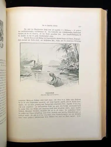 Gisbert,Tanera Reise um die Erde 2 Bde. 1905 mit Illustrationen Erzählungen