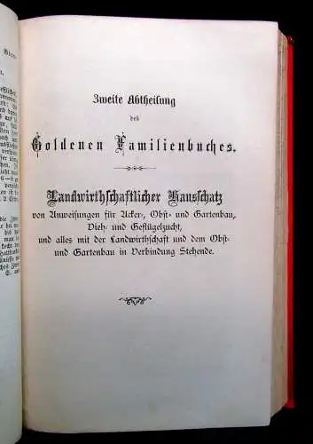 Häuslicher Rathgeber in allen Fragen des praktischen Lebens um 1890 selten