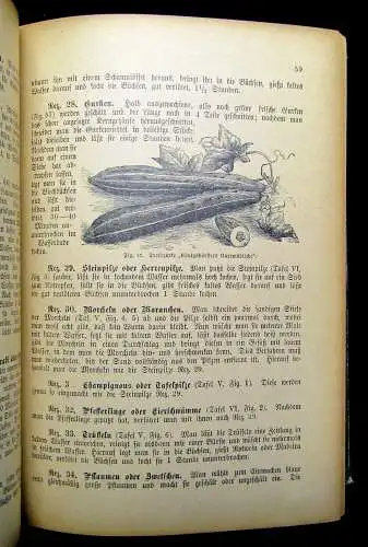 Ehrhardt Grosses Illustriertes Kochbuch 1905 über 2000 bewährte Rezepte