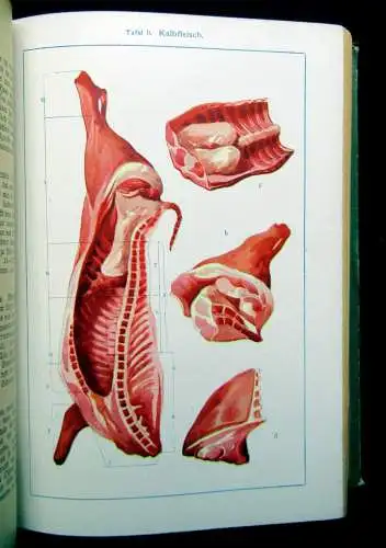 Ehrhardt Grosses Illustriertes Kochbuch 1905 über 2000 bewährte Rezepte