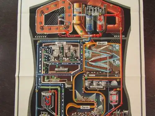 Original Poster Fritz Kahn "Der Mensch als Industriepalast" 96,5 x48 cm 1926