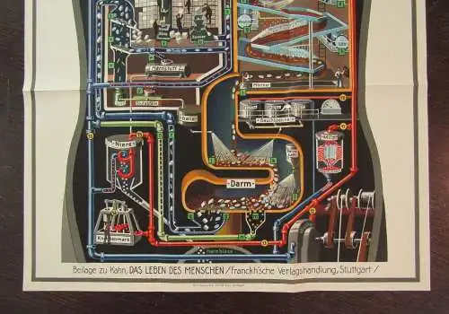 Original Poster Fritz Kahn "Der Mensch als Industriepalast" 96,5 x48 cm 1926