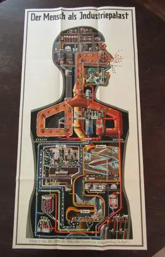 Original Poster Fritz Kahn "Der Mensch als Industriepalast" 96,5 x48 cm 1926