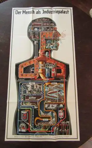 Original Poster Fritz Kahn "Der Mensch als Industriepalast" 96,5 x48 cm 1926