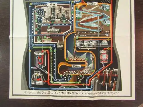 Original Poster Fritz Kahn "Der Mensch als Industriepalast" 96,5 x48 cm 1926