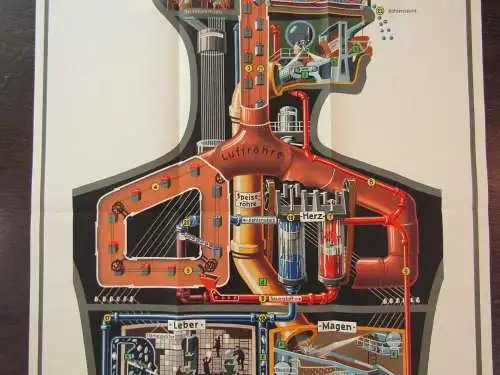 Original Poster Fritz Kahn "Der Mensch als Industriepalast" 96,5 x48 cm 1926