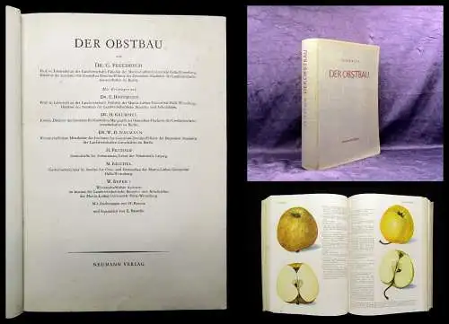 Hoffmann u.a. Der Obstbau 2.Auflage 1956 Or. SU Naturwissenschaften Pomologie