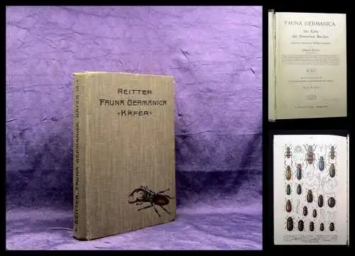 Reitter Fauna Germanica Die Käfer des deutschen Reiches 3.Bd. apart 1911