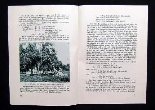 Schmidt A., Die Düngung der Obstbäume und Beerensträucher um 1935 Pomologie