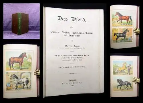 Fries Das Pferd dessen Struktur,Züchtung,Behandlung Mängel 1883 12 Tafeln