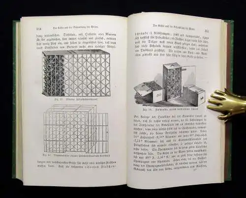 Hamm Das Weinbuch Der Wein, sein Werden und Wesen Statistik Charakteristik 1874