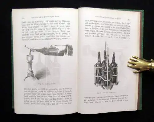 Hamm Das Weinbuch Der Wein, sein Werden und Wesen Statistik Charakteristik 1874