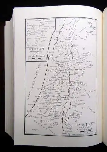Heilige Schrift Albertus-Magnus Bibel Altes+Neues Testament 1991 schöner HLdr.