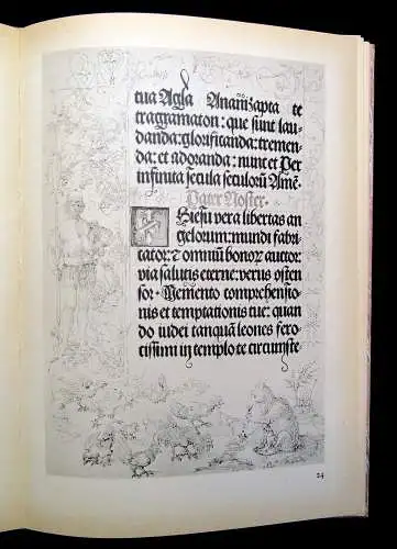 Albrecht Dürer Die Handzeichnungen  zum Gebetbuch Kaiser Maximilians Reprint