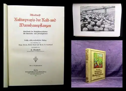 Bonstedt Allendorffs Kulturpraxis der Kalt-u. Warmhauspflanzen 1934 Botanik