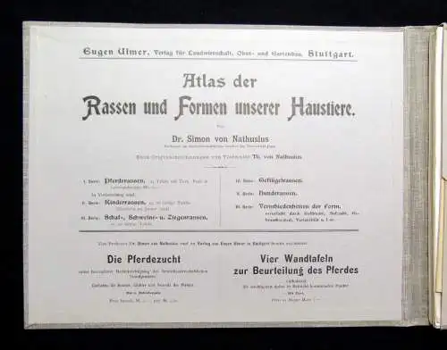 Nathaius Atlas der Rassen und Formen 1.Serie Die Pferderasen mit 24 Tafeln 1904