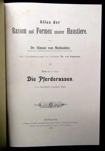 Nathaius Atlas der Rassen und Formen 1.Serie Die Pferderasen mit 24 Tafeln 1904