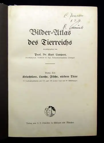 Lampert Bilder-Atlas des Tierreichs 3.Teil apart 1913 EA Kriechtiere Lurche etc.