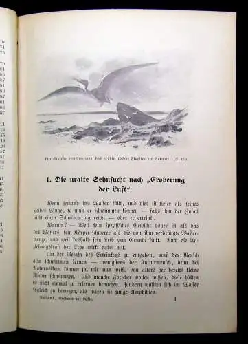 Roland Eroberer der Lüfte Zeppelin, ihr Beherrscher um 1910 Geschichte