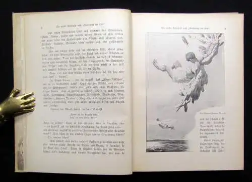 Roland Eroberer der Lüfte Zeppelin, ihr Beherrscher um 1910 Geschichte