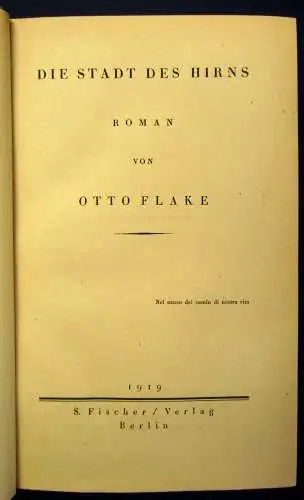 Flake Die Stadt des Hirns Roman 1919 EA Belletristik Literatur Erzählung js