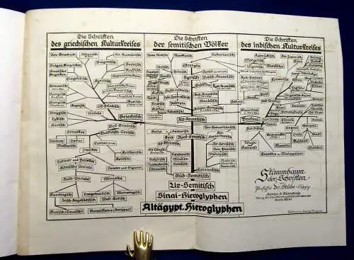 Stübe Der Ursprung des Alphabetes und seine Entwicklung um 1900 20 Tafeln mb