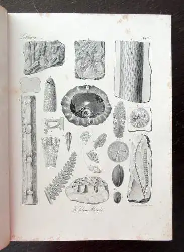 Bronn Atlas zu H.G. Bronns Lethaea geognostica oder Abbildung 1850- 1856