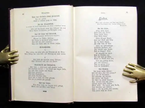 Matthias Lessings Werke Bände 1-6 in 3 Büchern um 1890 Literatur komplett