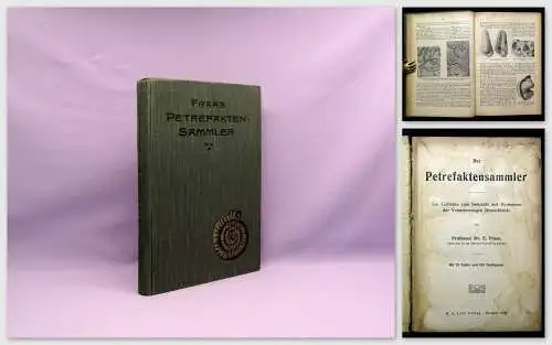 Fraas Der Petrefaktensammler Leitfaden zu Versteinerungen Deutschlands 1910