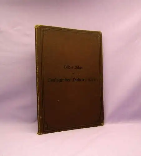 Marshall Bilder-Atlas zur Zoologie der Niederen Tiere beschreibender Text 1899