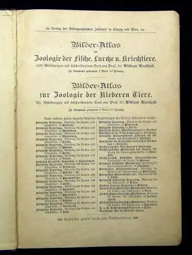 Marshall Bilder-Atlas zur Zoologie der Niederen Tiere beschreibender Text 1899