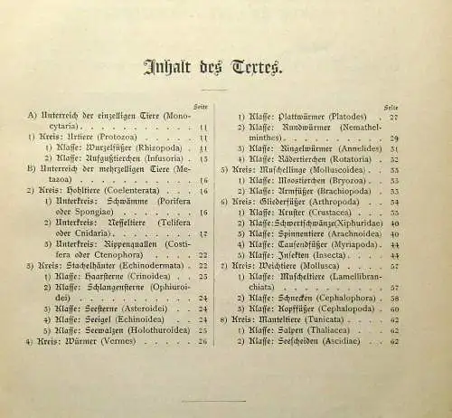 Marshall Bilder-Atlas zur Zoologie der Niederen Tiere beschreibender Text 1899