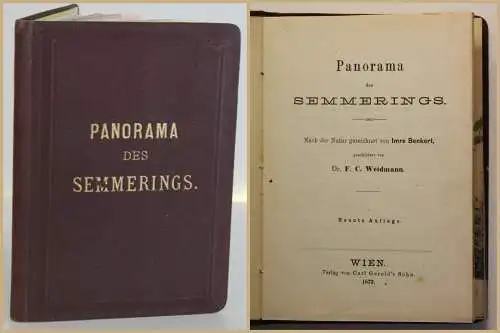 Weidmann/ Benkert Panorama des Semmerings 1873 Österreich Landschaft Reise sf